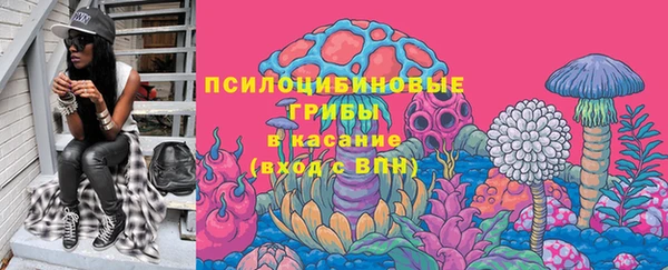 ГАЛЛЮЦИНОГЕННЫЕ ГРИБЫ Заводоуковск