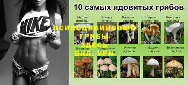 ГАЛЛЮЦИНОГЕННЫЕ ГРИБЫ Заводоуковск