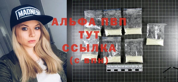 сатива Заволжье